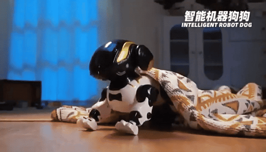 BB Robot Dog Electric Pet